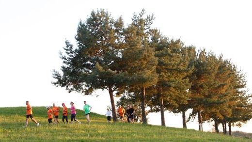 v1_migrated_image_34025447