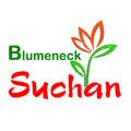 Bild von BLUMENECK SUCHAN