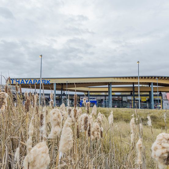 Ansicht eines Bahnhofs namens HayapARK mit Straßenlaternen, hohen Gräsern und einem bewölkten Himmel.