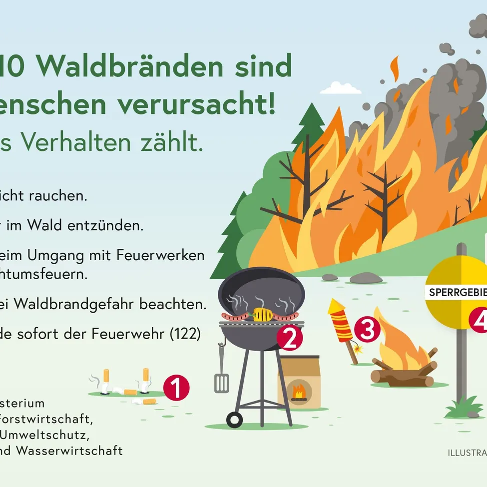 Infografik, die die Ursachen von 10 Waldbränden verdeutlicht, mit Schwerpunkt auf menschliches Verhalten, mit Zahlen, die auf verschiedene Aktivitäten zeigen.
