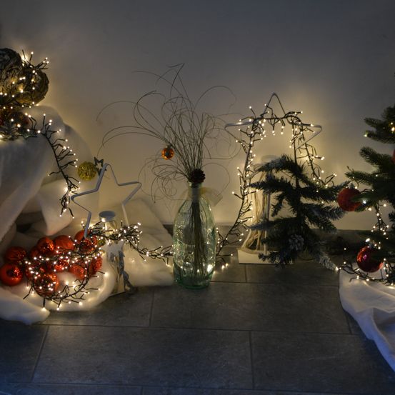 Bild enthält, Plant, Tree, Flower, Flower Arrangement, Fir, Christmas, Christmas Decorations, Festival, Accessories, Christmas Tree