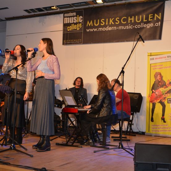 Bild enthält, Group Performance, Music Band, Person, Stage, Adult, Female, Woman, Concert, Microphone, Man