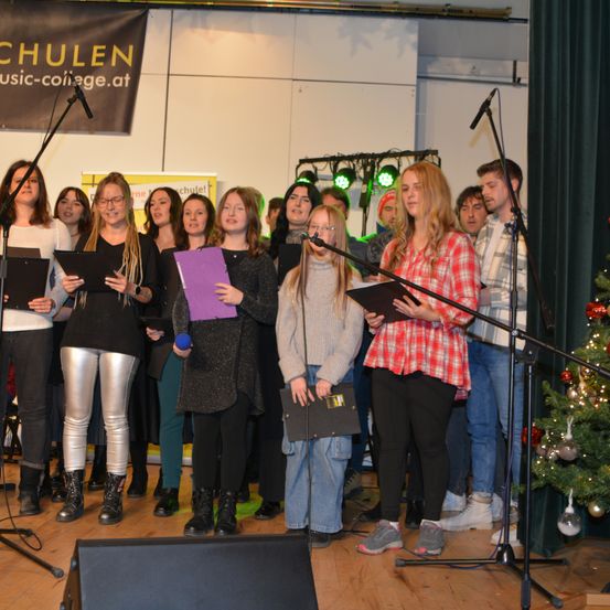 Bild enthält, Adult, Female, Person, Woman, Male, Man, Shoe, Group Performance, Face, Microphone