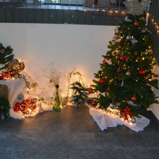 Bild enthält, Floor, Flooring, Christmas, Christmas Decorations, Festival, Christmas Tree, Plant, Tree
