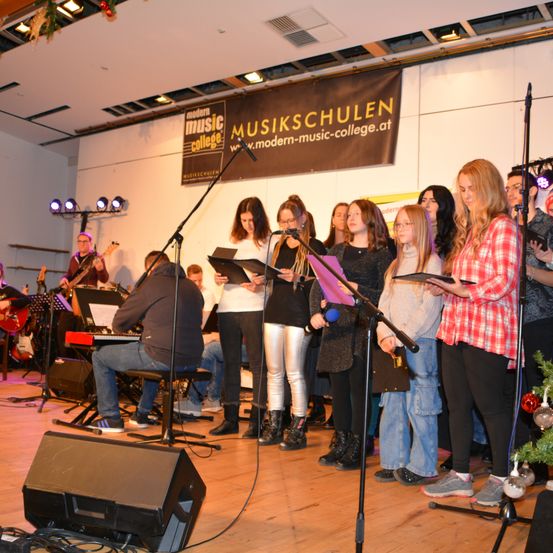 Bild enthält, Group Performance, Music Band, Musician, Person, Adult, Female, Woman, Concert, Male, Man