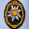 Pattern, Applique, Embroidery