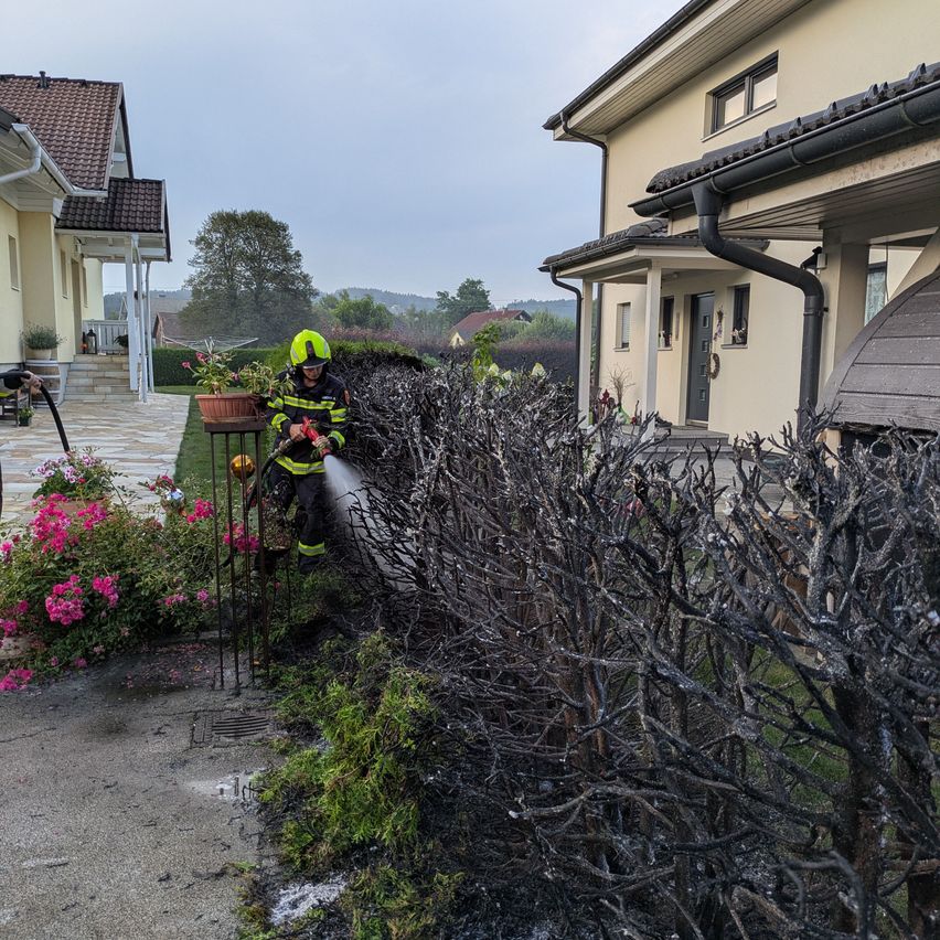 Ein Feuerwehrmann in einem gelben Helm sprüht Wasser auf einen verbrannten Busch vor einem Haus.
