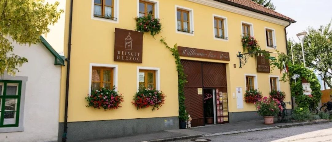 Ein gelbes Gebäude mit braunem Dach, weißer Umrandung und Holztür. Es hat mehrere Fenster und ein Schild mit der Aufschrift 'Weingut Herzog'. Das Gebäude hat Blumenkästen und Pflanzen draußen.