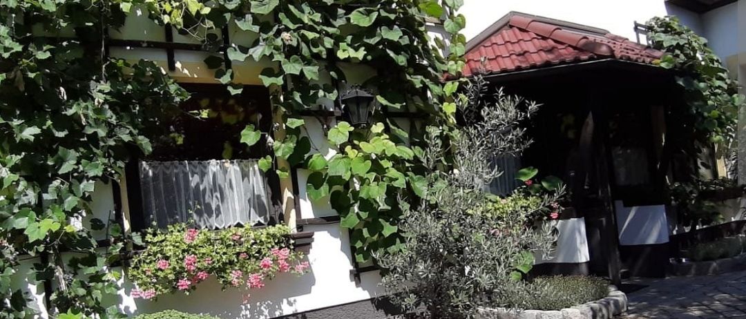 Ein weißes Gebäude mit einem roten Dach, Weinreben und Topfpflanzen. Das Gebäude hat ein Fenster mit einem weißen Vorhang und einer Lampe. Es gibt zwei Pflanzen mit rosa Blüten an der Wand.