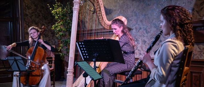 Bild enthält, Person, Chair, Furniture, Musical Instrument, Music, Musician, Performer, Face, Head, Harp