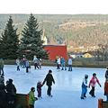 Bild von Eislaufplatz  Markt Piesting
