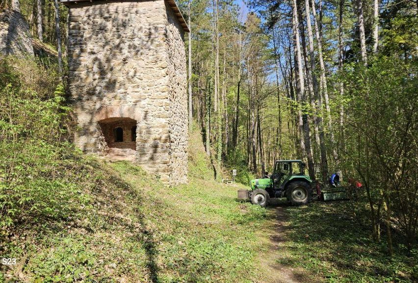 Ein grüner Traktor ist neben einem alten Steinturm in einem Wald geparkt. Hohe Bäume umgeben das Gebiet.