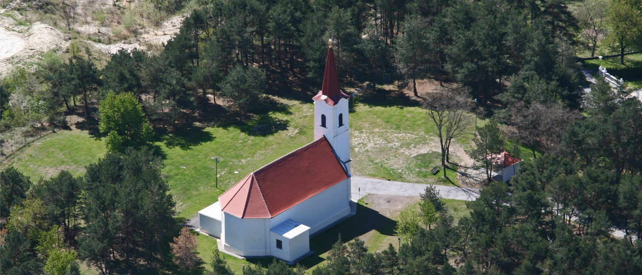 Tree, Vegetation, Building, Outdoors, Woodland, Fir, Spire, Monastery, Housing, Aerial View