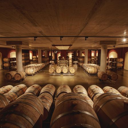 Bild enthält, Architecture, Building, Alcohol, Beverage, Liquor, Wine, Wine Cellar, Person