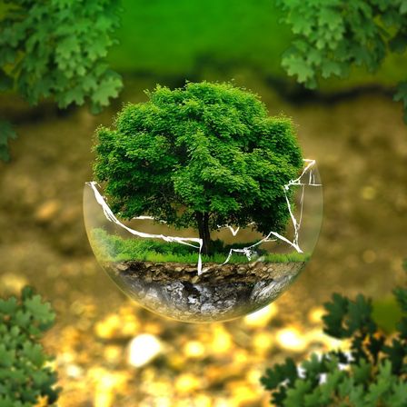 Ein Baum in einer zerbrochenen Blase, umgeben von grünen Blättern und kleinen Pflanzen auf dem Boden. Die Blase befindet sich auf einer goldenbraunen Oberfläche.