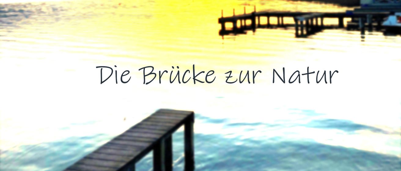 Ein ruhiger See bei Sonnenuntergang, mit einem hölzernen Steg, der sich ins Wasser erstreckt. In der Ferne die Silhouette von Bergen. Der Textüberlagerung lautet 'Die Brücke zur Natur'.