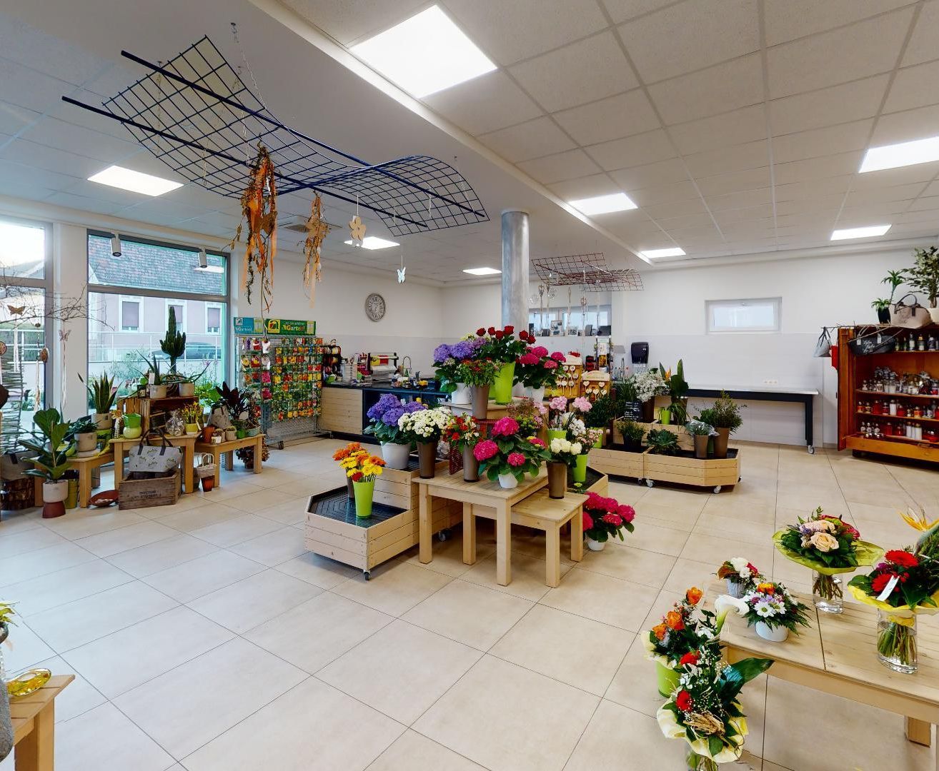 Ein Blumenladen im Innenbereich zeigt verschiedene bunte Blumenarrangements auf Holztischen. Der Laden hat einen weiß gefliesten Boden und weiße Wände. Es hängen Pflanzen von der Decke, und eine Uhr ist an der Wand montiert.