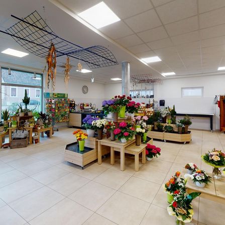 Ein Blumenladen im Innenbereich zeigt verschiedene bunte Blumenarrangements auf Holztischen. Der Laden hat einen weiß gefliesten Boden und weiße Wände. Es hängen Pflanzen von der Decke, und eine Uhr ist an der Wand montiert.