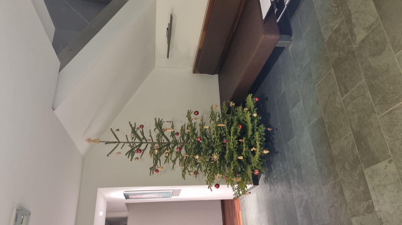 Ein Weihnachtsbaum mit roten und goldenen Ornamenten ist kopfüber an einer weißen Wand montiert, neben einer braunen Couch.