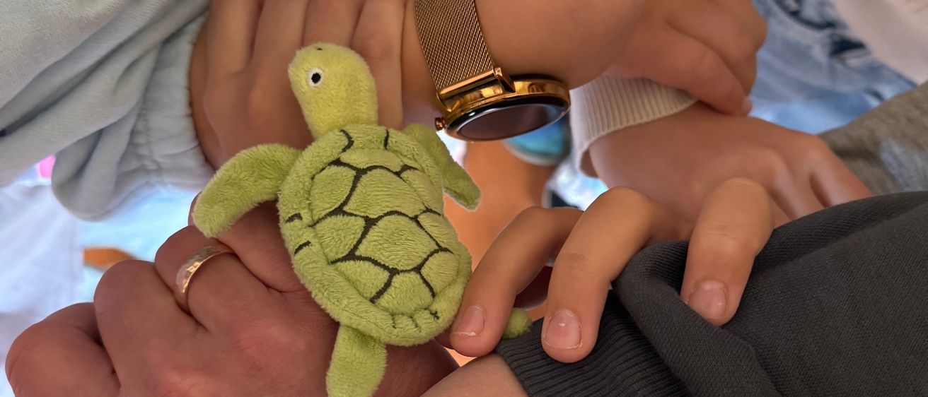 Mehrere Hände halten gemeinsam ein grünes Schildkröten-Plüschtier, wobei eine Hand einen Goldring und die andere eine Uhr trägt.