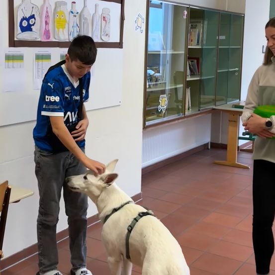 Ein Junge streichelt einen weißen Hund mit Geschirr in einem Raum mit einer Bücherregal und einer lächelnden Frau.