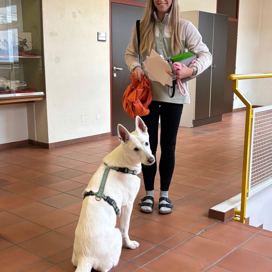 Eine Frau steht in einem Raum mit einem weißen Hund, hält Papiere und eine orange Tasche. Der Hund trägt ein Geschirr. Hinter ihr sind eine Tür, Schränke und eine Glasvitrine zu sehen.