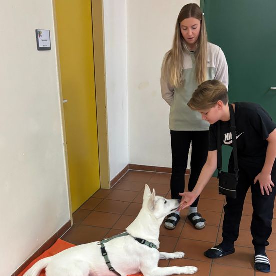 Ein junger Junge trainiert einen weißen Hund in einem Raum mit einer grünen Tür. Der Hund liegt auf einer Matte und erhält Futter vom Jungen. Eine Frau steht hinter dem Jungen und beobachtet.