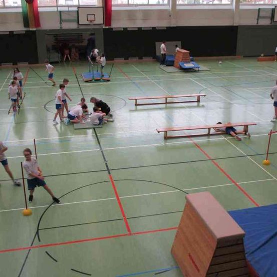 Eine Gruppe von Kindern verrichtet verschiedene Aktivitäten in einer Turnhalle. Sie benutzen Bälle, Stöcke und Holzbänke. Einige liegen, während andere stehen. Es gibt auch blaue Matten und Hürden auf dem Boden.