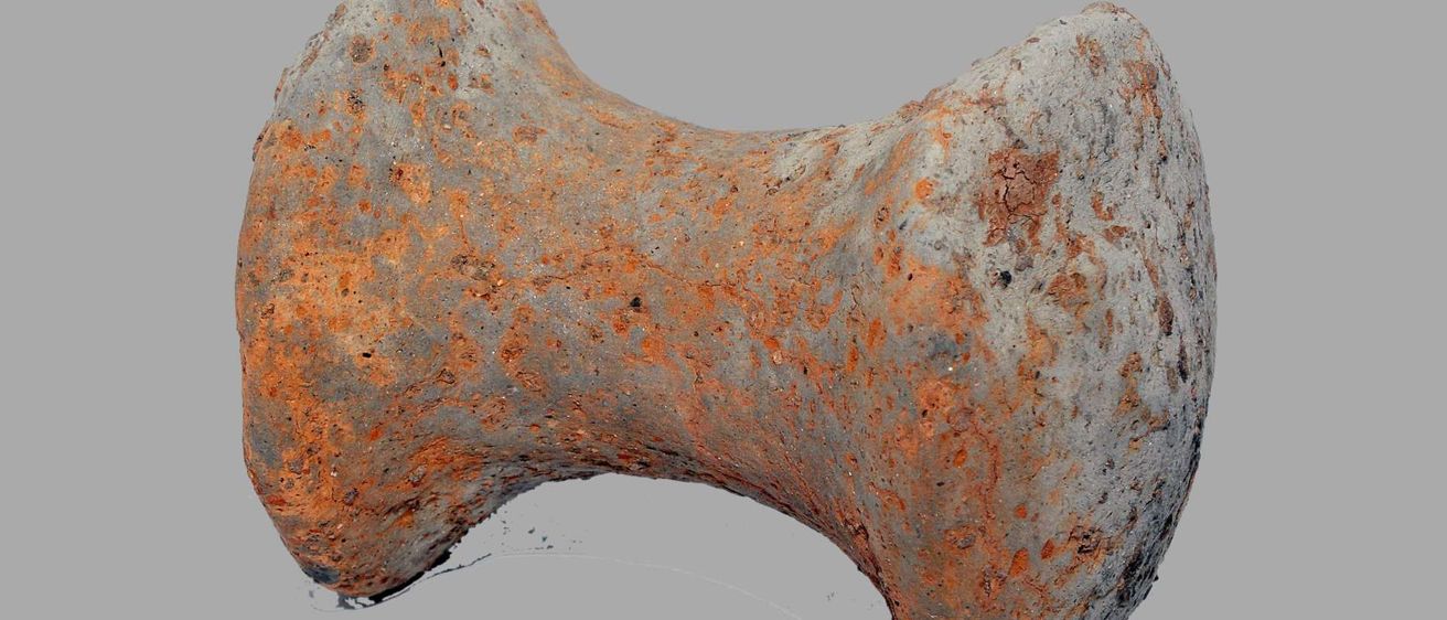 v1_migrated_image_50645273