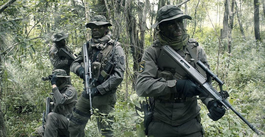 v1_migrated_image_88411691