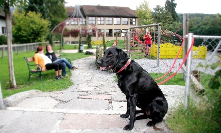 Zwei Frauen sitzen auf einer Parkbank in einem Park mit einem schwarzen Hund in der Nähe. Im Hintergrund sind ein Gebäude und Spielplatzgeräte zu sehen.