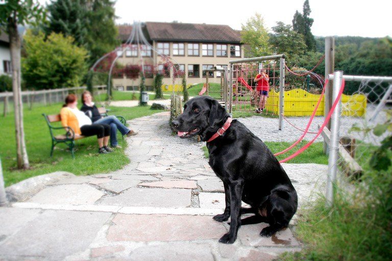 Zwei Frauen sitzen auf einer Parkbank in einem Park mit einem schwarzen Hund in der Nähe. Im Hintergrund sind ein Gebäude und Spielplatzgeräte zu sehen.