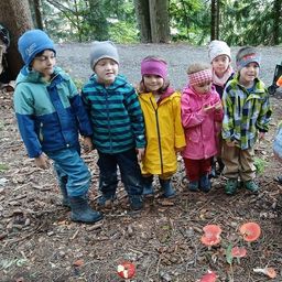Eine Gruppe von Kindern steht in einem Wald mit Pilzen vor ihnen. Sie tragen alle Winterkleidung.
