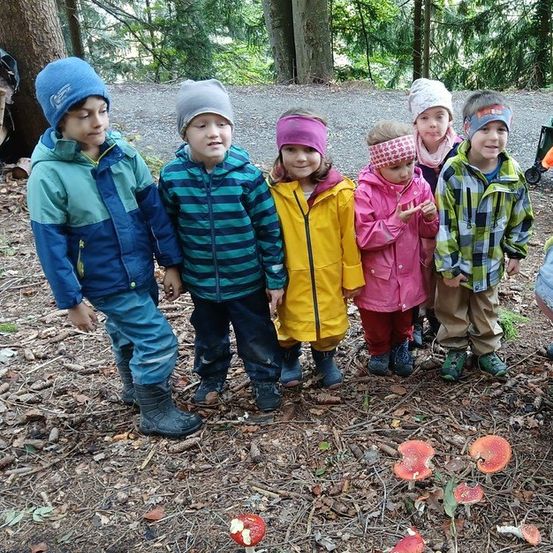 Eine Gruppe von Kindern steht in einem Wald mit Pilzen vor ihnen. Sie tragen alle Winterkleidung.