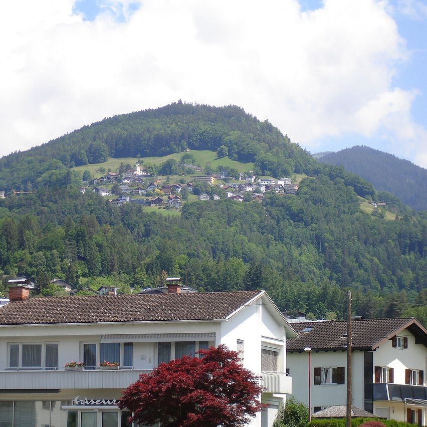 Bild enthält, Neighborhood, Building, House, Housing, Roof, Nature, Outdoors, Countryside, Hill, Slope