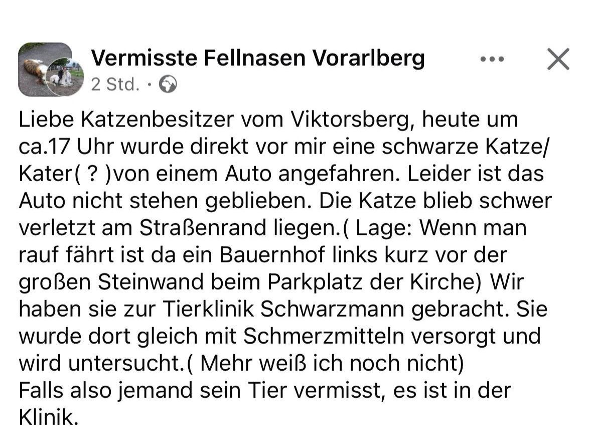 Veröffentlichung über eine vermisste Katze in Vorarlberg. Ein Katzenbesitzer aus Viktorsberg meldete eine schwarze Katze, die von einem Auto angefahren wurde. Die Katze ist verletzt und wird in eine Tierklinik gebracht. Der Beitrag fragt, ob noch jemand sein Haustier verloren hat.