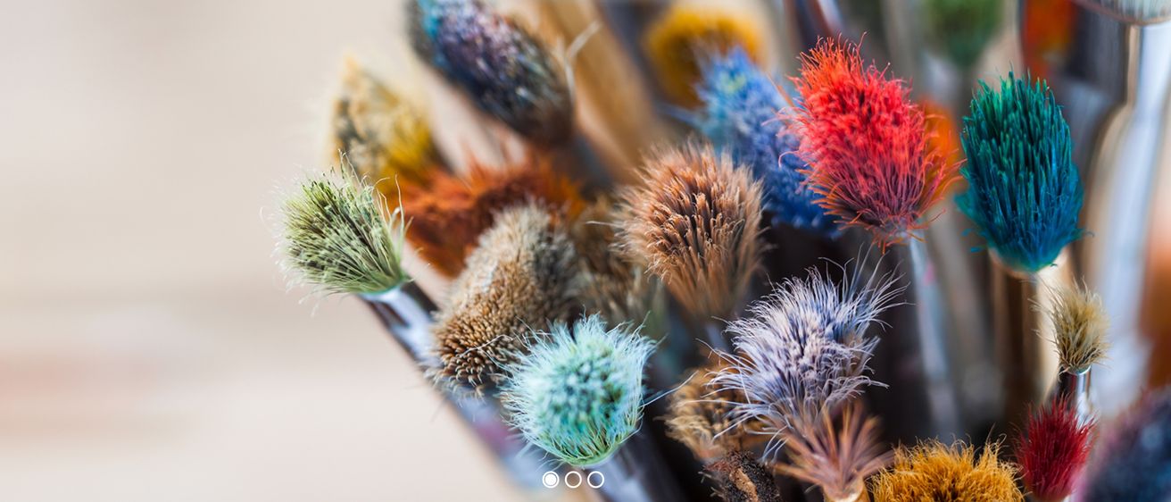 Bild enthält, Brush, Device, Tool, Plant