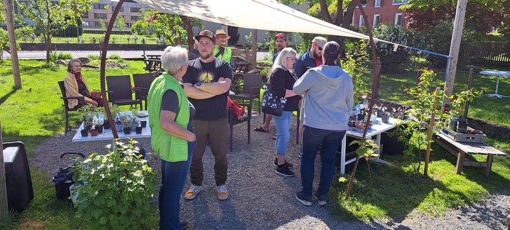 Bild enthält, Backyard, Potted Plant, Shelter, Yard, Planter, Grass, Park, Garden, Portrait, Vegetation