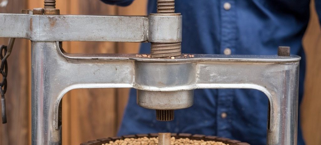 Bild enthält, Adult, Male, Man, Person