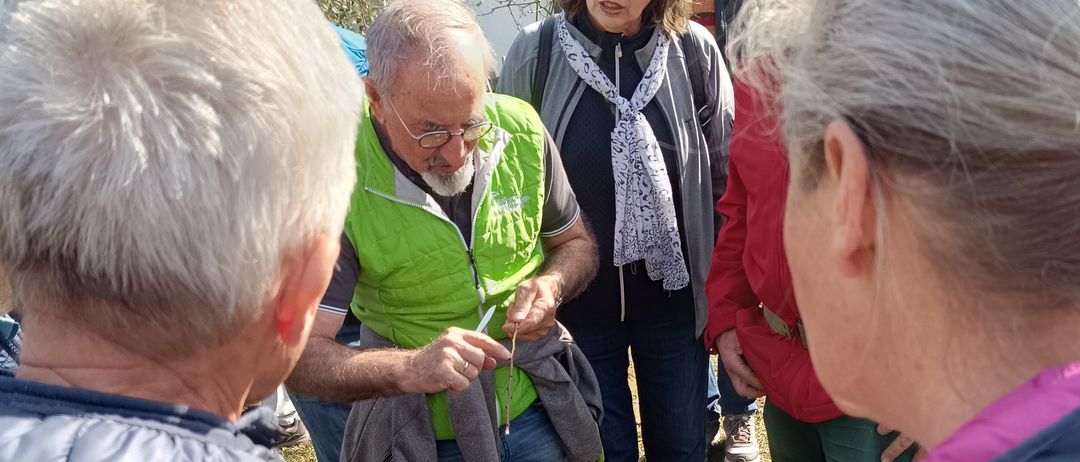 Eine Zusammenkunft im Freien von Menschen, die für kühles Wetter gekleidet sind. Ein Mann in einer grünen Weste scheint anderen etwas zu erklären.