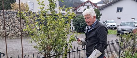 Ein älterer Mann beschneidet einen Busch im Garten. Er trägt Handschuhe und hält eine Gartenschere. Der Garten ist von einem schwarzen Metallzaun umgeben und hat mehrere Pflanzen. Im Hintergrund befinden sich Häuser.
