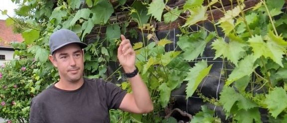 Ein Mann in einer grauen Kappe und einem braunen T-Shirt steht neben einer Pflanze mit grünen Blättern. Er hält eine Rebe und lächelt.
