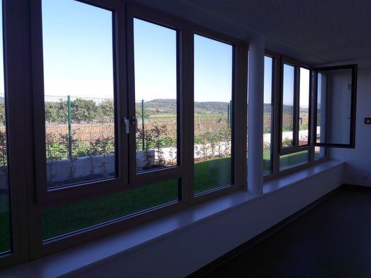 Ein Raum mit großen Fenstern und einer Bank, die auf einen Rasen und Weinberg blickt, mit einem klaren blauen Himmel darüber.