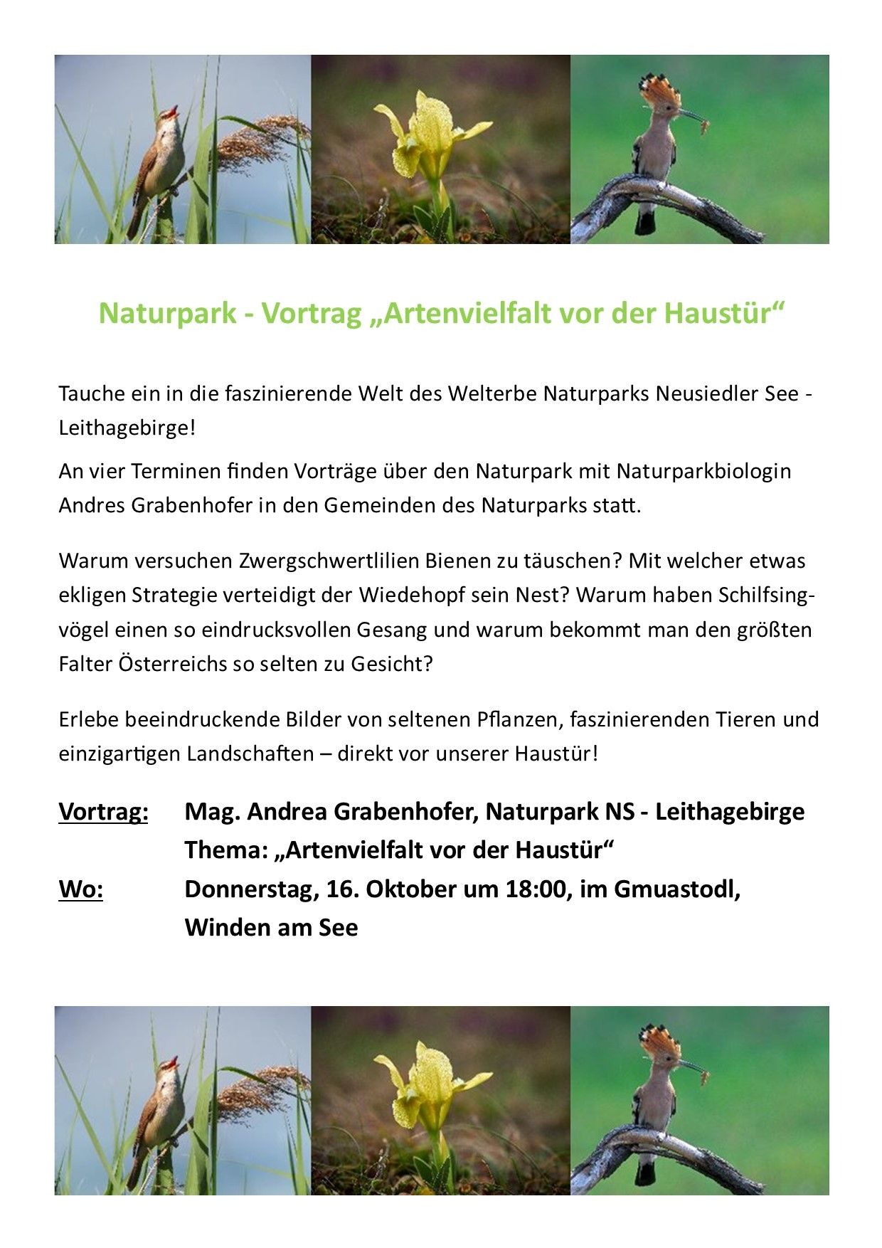 Flyer über einen Naturpark mit Bildern von Pflanzen und einem Vogel. Der Text bespricht die Artenvielfalt vor der Haustür. Es lädt zu Vorträgen über den Park durch einen Naturparkbiologen ein.
