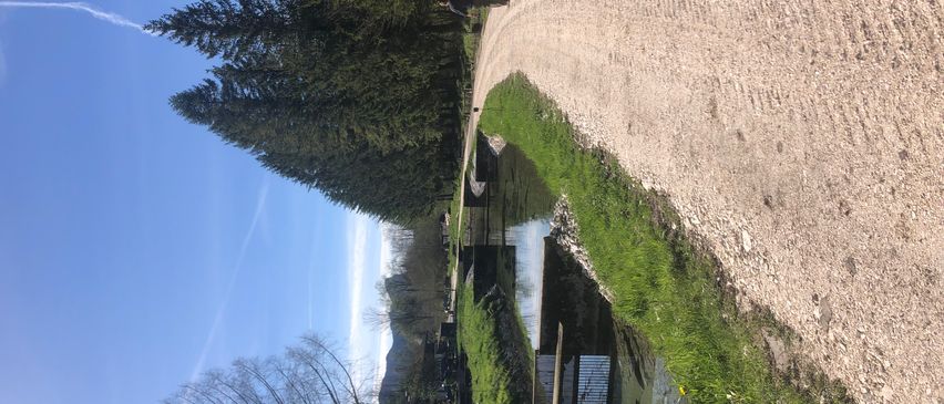 Bild enthält, Tree, Fir, Outdoors, Scenery, Gravel, Road, Conifer, Summer, Ditch, Land