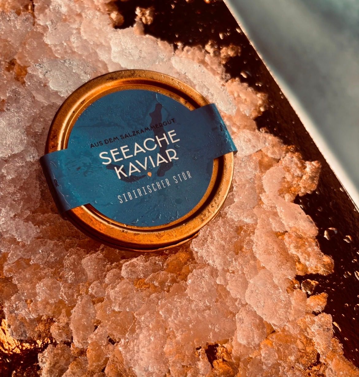 Eine goldene Dose Seeache Kaviar liegt auf Eis. Das Etikett zeigt 'Seeache Kaviar' und 'Stbirischer Stor'.