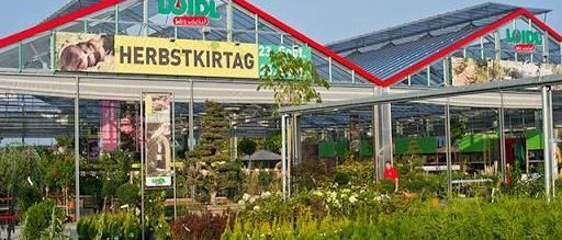 v1_migrated_image_59719079