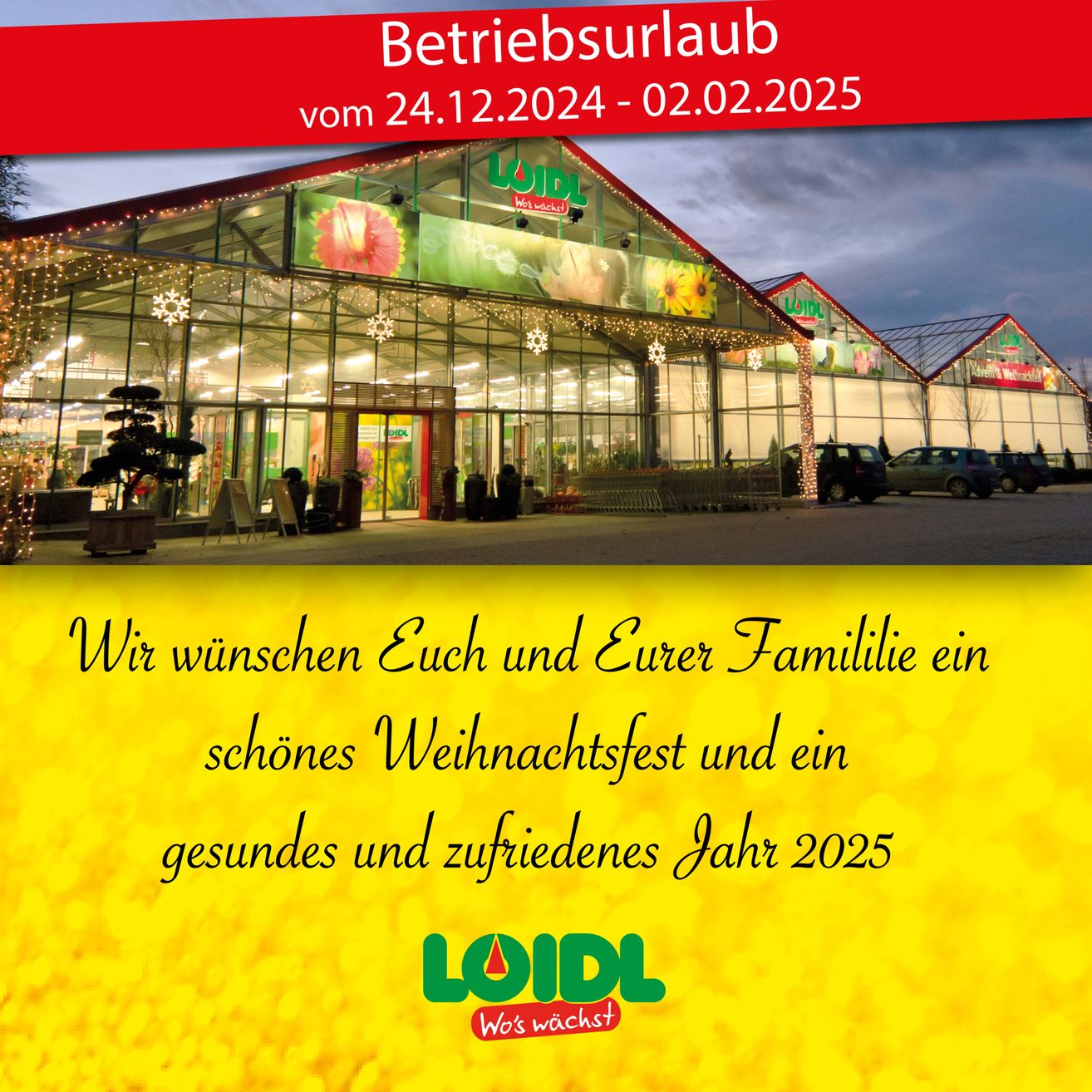 Bild enthält, Shop, Shopping Mall, Building, Garden, Gardening, Nature, Outdoors, Car, Person, Airport