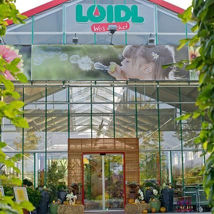 v1_migrated_image_42048813