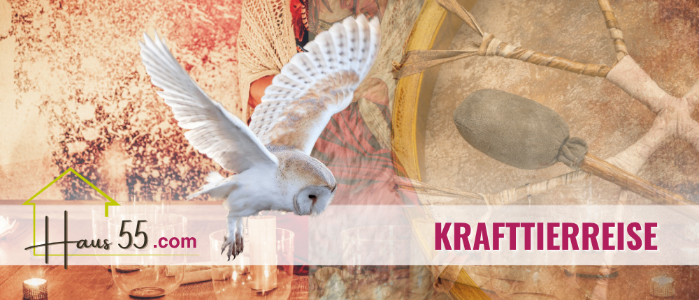 Ein Bild eines fliegenden weißen Uhus mit ausgebreiteten Flügeln, begleitet von einer Trommel und anderen kulturellen Artefakten. Das Website-Logo 'plus 55.com' ist unten sichtbar.